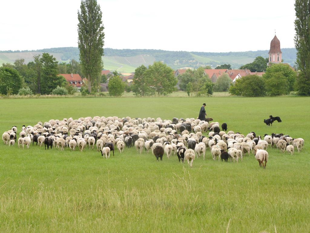 Ferienwohnungen Schuh Ipsheim Buitenkant foto